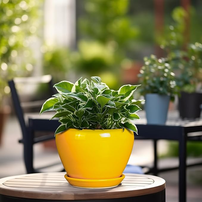 Ceramic Pot for Plants - 6 Inch Plant Pot Glaze Modern Decorative Round Planter with Drainage Hole and Saucer for Home Patio Room Office House Decor, Yellow Ceramicfor