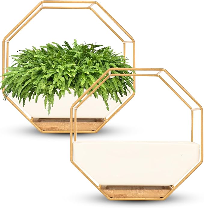 IRYL Wall Planter for Indoor Plants - Ceramic Wall Hanging Planter Set with Bamboo Tray & Hooks - Decorative Wall Plant Holder - Modern Wall Planters for Vertical Garden Home Decor - Golden Rootora