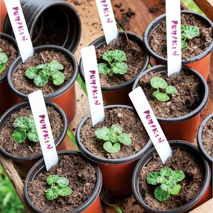 Plant Nursery Pot/Pots 100 Pcs 4" Plastic Small Plants Pots Flower Pots Seed Starting Pots for Plants Indoor Outdoor Seedling pots (with 100 Plant Labels) LWWTBS