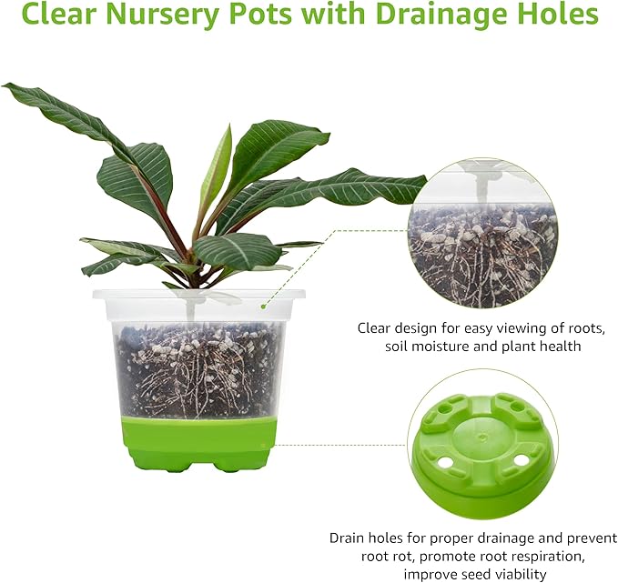 MIXC Thickened Clear Nursery Pots with Silicone Base for Easy Transplant 30 Packs 4 Inch, Transparent Plant Pot Reusable Seedling Pots for Vegetable Propagation, Root Cutting, Seed Starting, Green MIXC