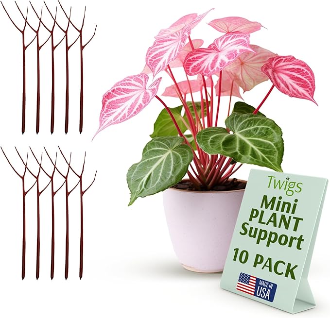Mini Twigs Plant Support Stakes for Small Plants, Indoor & Outdoor Use, Gardening Supplies, Garden Accessories, Trellis & Ring Alternative, Made in USA - Begonia (Red), 10 Pack, 12" L TwigsGardenAccessories