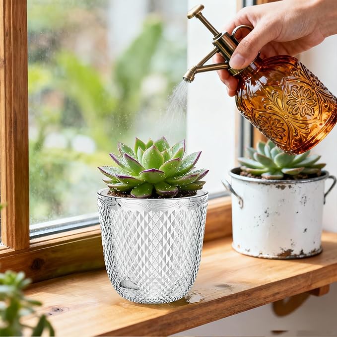 QCQHDU 2 Pack Self Watering Pots, 5.7 Inch Flower Pots with Drainage Holes and Water Filling Port, Garden Planter for Indoor Outdoor Plants (Clear) QCQHDU