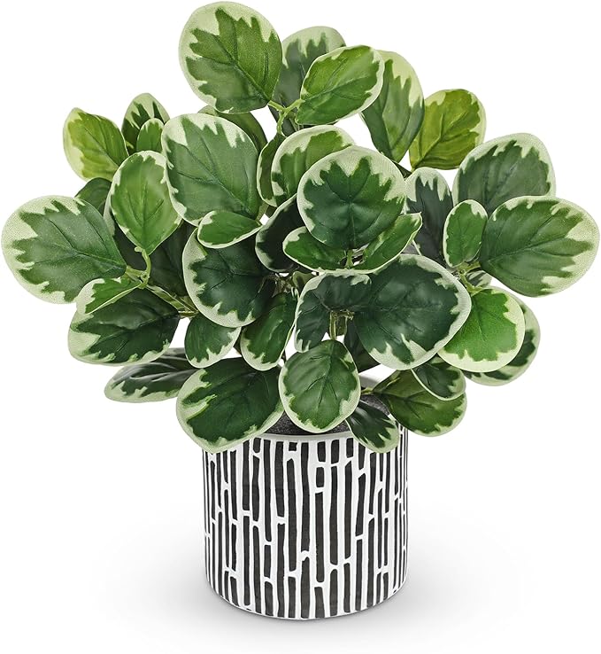 13" Artificial Plants Indoor Small Fake Plant in Ceramic Pot, Silk Plants for Home Decor Indoor, Faux Potted Plant for Shelves, Desks, Home, Room, Office, Bedroom, Farmhouse, Entryway, Tabletop Decor VillaComo