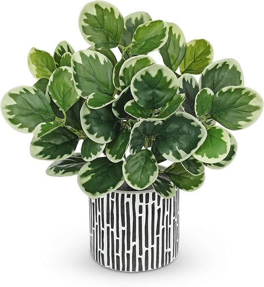13" Artificial Plants Indoor Small Fake Plant in Ceramic Pot, Silk Plants for Home Decor Indoor, Faux Potted Plant for Shelves, Desks, Home, Room, Office, Bedroom, Farmhouse, Entryway, Tabletop Decor VillaComo