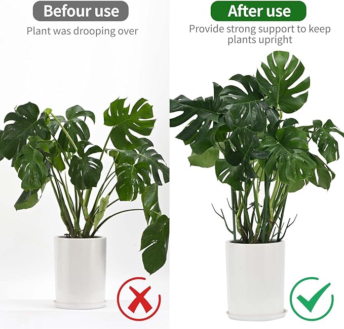 12 Pack Plant Support Stakes, Plant Stakes for Indoor and Outdoor Plants. 39.37inch Plant Sticks with Extension Poles, Plant Clips, Plant Ties for Potted Monstera Plants, Climbing Plants YHTPOUQE