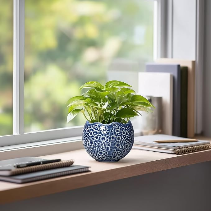 4 inch Plant Pots - Small Ceramic Planter with Drainage Hole, Succulent Pots for Indoor Outdoor, Unique Round Planter, Modern Decorative Flower Pot, Desk Decor, Plant Lovers Gifts, Blue Thirtypot