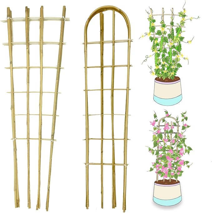 Natural Bamboo Trellis, 4Feet,Fan-Shaped+U-Shape,4Pack,Plant Support Trellis for Outdoor and Indoor Potted Climbing Plants,Vegetables, Cucumber, Tomato, Hoya, GUANGYE