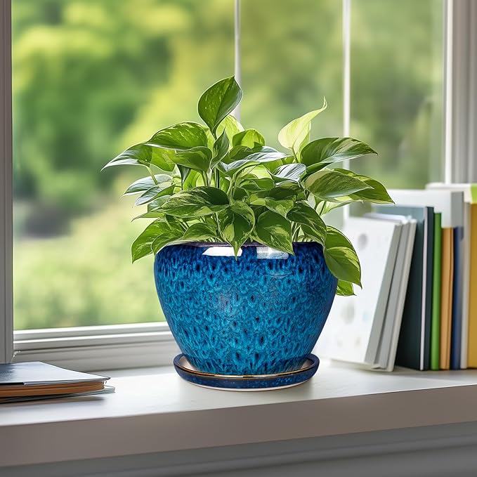 Ceramic Modern Glaze Succulent Planter Pot with Drainage Hole and Saucer 6 Inch Round Flower Plant Pot for Indoor Outdoor Herb Snake Plants Ceramicfor