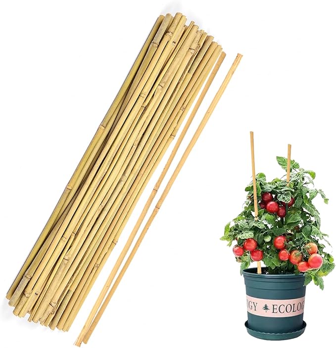 40pcs Natural Bamboo Sticks for Indoor and Outdoor Plants, 16 Inch Plant Support Stakes for Tomato, Beans, Potted Plants and Vegetable Cambaverd