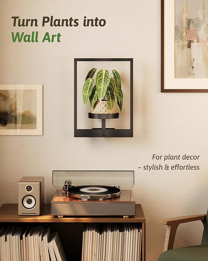 Wall Plant Holder Wall Planters for Indoor Plants Plant Wall Shelf Plant Hanger Indoor Hanging Plant Holder Plant Wall Hanger for Living Room Window Balcony Gentingbro