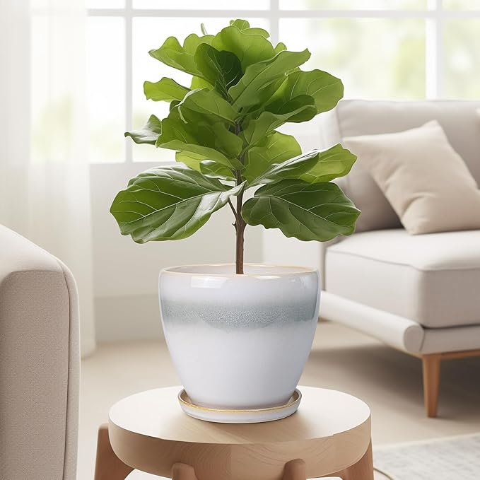 6.3 Inch Plant Pot - Ceramic Planters for Indoor Ourdoor Plants, Modern Succulent Pot, Round Planter with Drainage Hole and Saucer, Room Office Garden Home Decor, Plant Lover Gift, White-Grey EPFamily