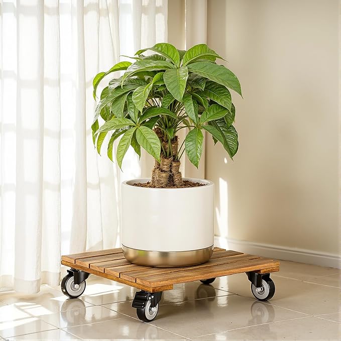 2pack Wood Plant Caddy With Wheels Heavy Duty, 264 Lbs Capacity, Upgraded 12 Inch Acacia Hardwood Plant Dolly, Plant Stand with 360° Lockable Wheels, Plant Caster for Heavy Objects Hauling - Natural Wood Idzo