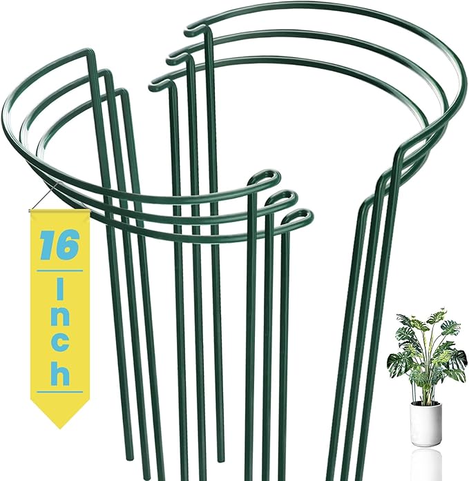 6-Pack Snake Plant Support Stakes, Half-Round Peony Cages and Supports, Green Plant Support Ring - Sturdy and Durable for Indoor and Outdoor Potted Plants, Such as Amaryllis, Peony, Hydrangea WooWellGoGoGoProducts