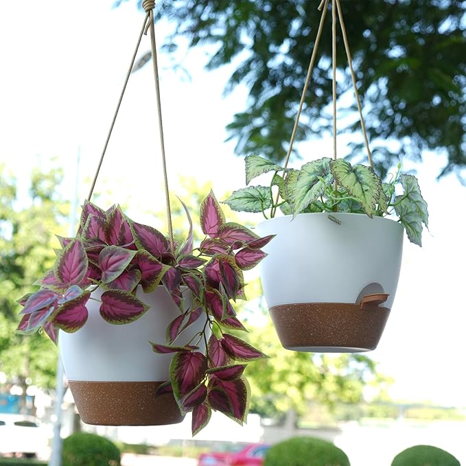 8 inch Hanging Planters, 2 Pack Self Watering Hanging Pots with 20oZ Deep Reservoir for Indoor Outdoor Plants Flowers, White with Brown SwinDuck