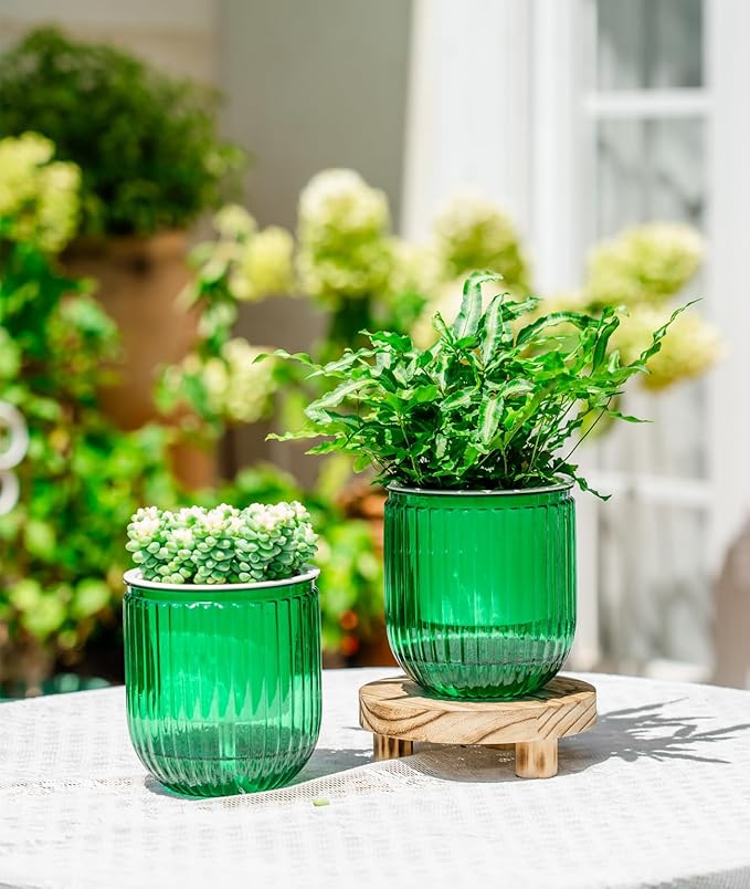 Melphoe Self Watering Pots for Indoor Plants Planter, 4.7 Inch 2 Pack Planters Self Watering Plant Pots for Flower, Houseplants, Succulent, African Violets and Cactus with Drainage Melphoe