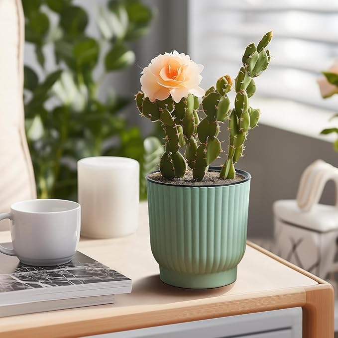 T4U 4 Inch Plant Pots Self Watering, 6 Pack African Violet Pots, Small Plant Pots for Plants, Small Indoor Plant Pot, Self Watering Planter for African Violet, Succulents (6 Pack 4" Pots, Green) T4U