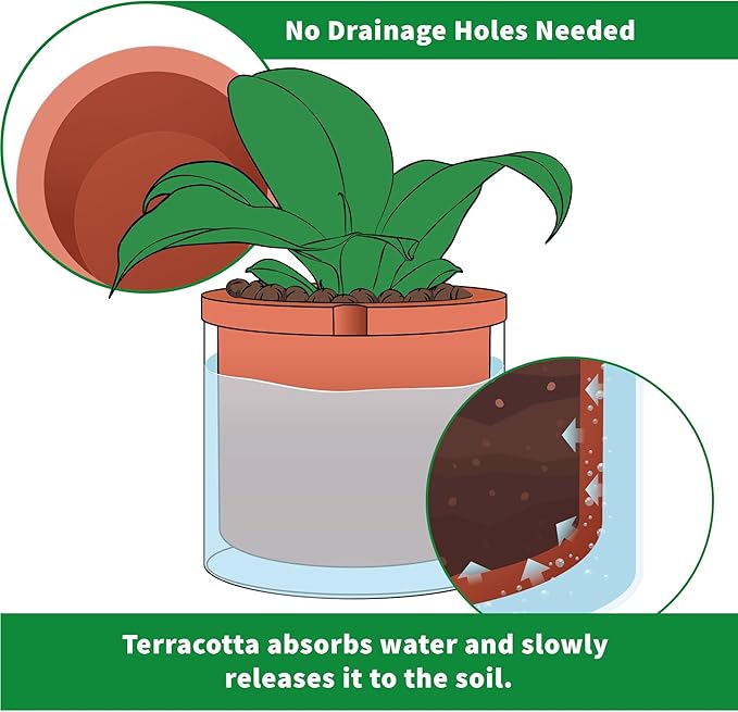 Phoenix Vine 10 Inch Self Watering Planter, White Terracotta Pot for Plants, Indoor Cylinder Terra Cotta Pot with Glass Vase Phoenix+Vine