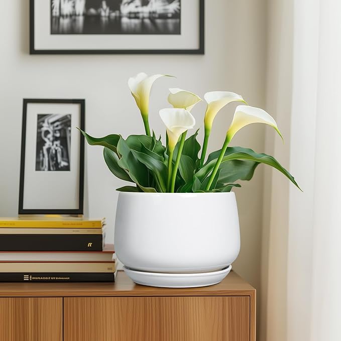 G EPGardening Ceramic Planter 9 Inch - Plant Pots with Drainage and Ceramic Saucer, Flower Pots for Indoor Plants, Modern Outdoor Planter, Living Room Decor, Gifts for Plant Lovers, White GEPGardening