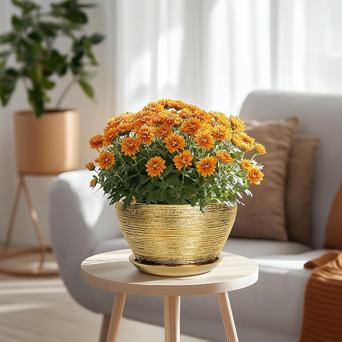 Ceramic Plant Pot Indoor - 9 Inch Planters for Outdoor Plants Decorative Plant Pot with Drainage Hole and Saucer Round Planter Modern Flower Pot Decorative for House Decor Gold Ceramicfor