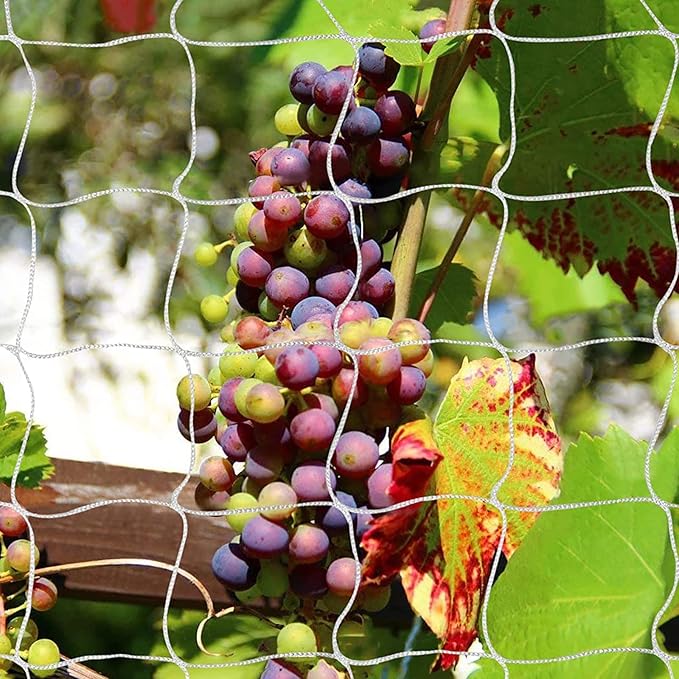 Tcamp Heavy-Duty Polyester Plant Trellis Netting 5 x 30ft (1 Pack) (5 Ft X 30 Ft) Tcamp