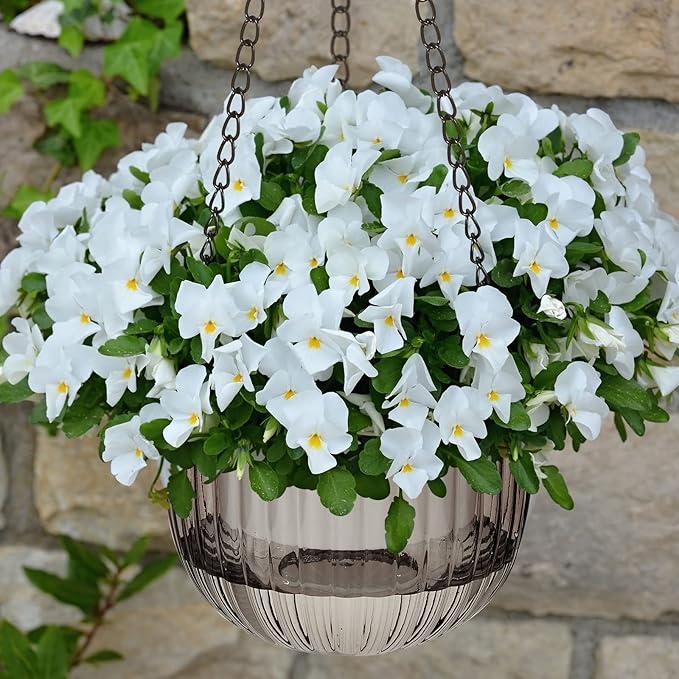 Meanplan 4 Pcs Self Watering Hanging Planter Indoor 6.5 Inch Hanging Baskets for Plants Outdoor Plastic Flower Pot with 3 Hooks Chains Drainage Holes for Garden Home, Medium Size(Emerald, Gray) Meanplan