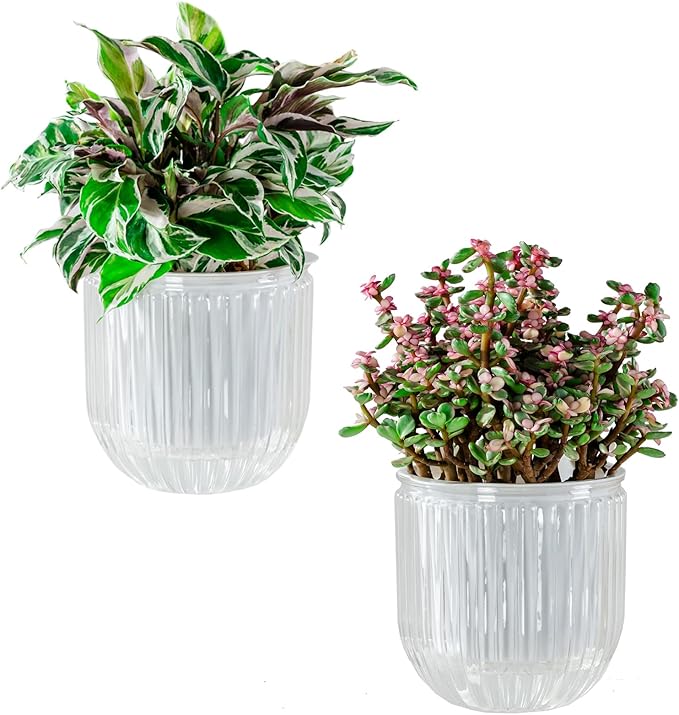 Melphoe Self Watering Pots for Indoor Plants Planter, 5.3 Inch 2 Pack Planters Self Watering Plant Pots for Flower, Houseplants, Succulent, African Violets and Cactus with Drainage Melphoe