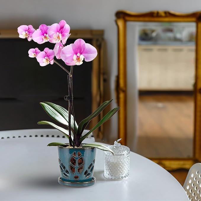 W&W Orchid Pot with Holes and Saucer for Repotting, Teal, 5.5 Inch WWHomeDecor