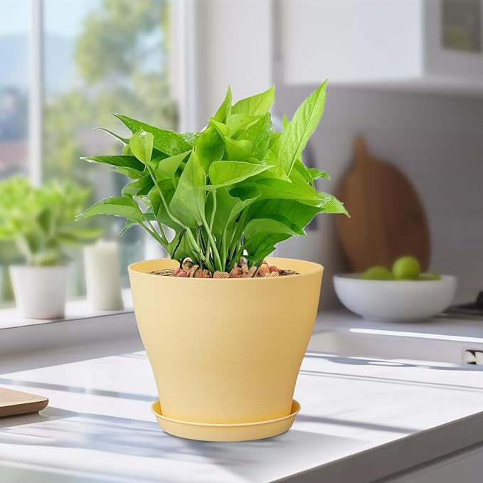 6 inch Plastic Nursery Pots, 16 Pack Plant Pots for Small Indoor Outdoor Plants, Flower Pots with Drainage Holes and Saucers, Decorative Seedling Starter Planters for House Plants, Colorful Meowell