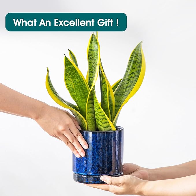 vancasso Ceramic Plant Pots, 3 Piece Planters for Indoor Plants, 4.25+5.25+6.25 Inch Flower Pots with Drainage, Plant Pots Indoor for Succulent, Pothos, Snake Plant and Money Tree, Etc (Blue) vancasso