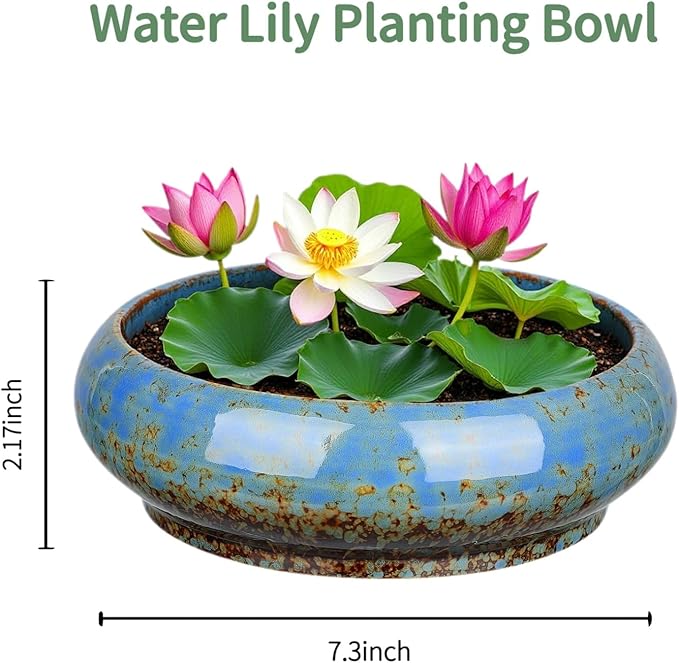 7.3 Inch Succulent Planters Pots Shallow Ceramic Glazed Planter Pots, Lotus Bowl Planter Round Shallow Planter Water Lily Pot for Indoor/Outdoor Plants Decorative (Blue) Rootora