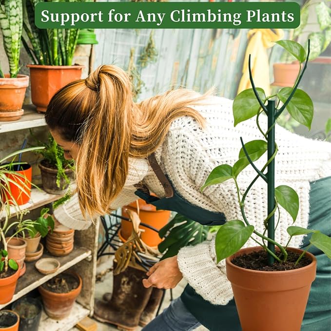 10 Pack Stackable Plant Support Stakes, 75inch Climbing Plant Sticks Structures for Monstera with Garden Ties, Durable Alternative to Moss Pole for Indoor Outdoor Plants YOYOKIT