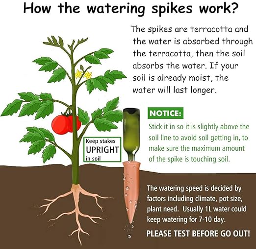 Plant Watering Devices 6 Pack Terracotta Vacation Plant Waterer Wine Bottle Watering Stakes Slow Release Plant Watering Spikes Self Watering Devices for Indoor Outdoor Plants GARDENANDTOOL