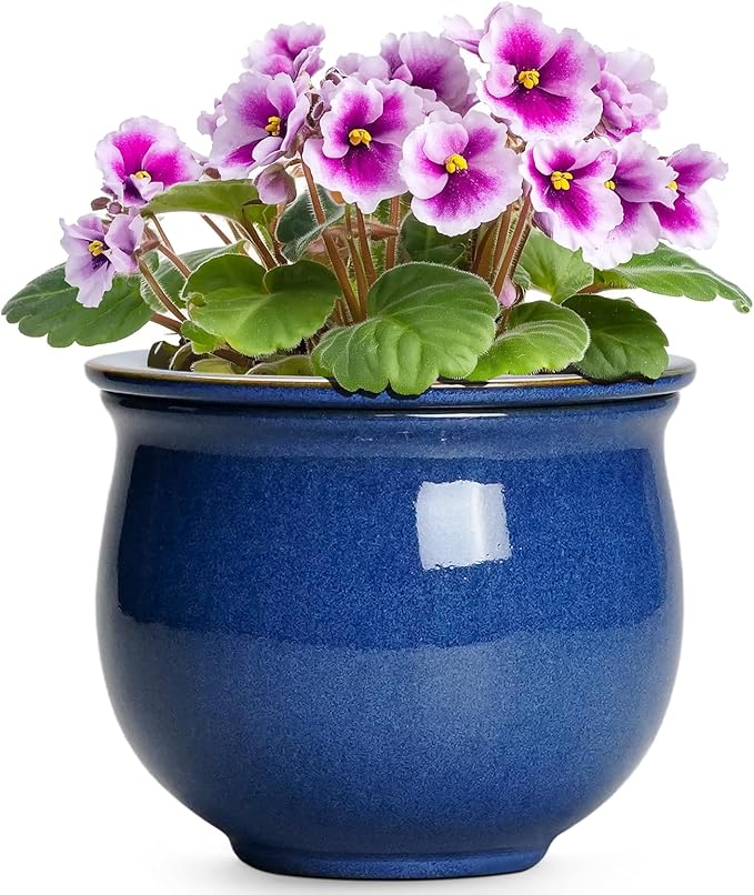 6 Inch Self Watering Pots, Ceramic African Violet Planter with Absorbent Inner Pot, Round Flower Pot for Indoor Plants, Ceramic Pots for Plants, Room Home Decor, Plant Lover Gifts, Blue Teagas