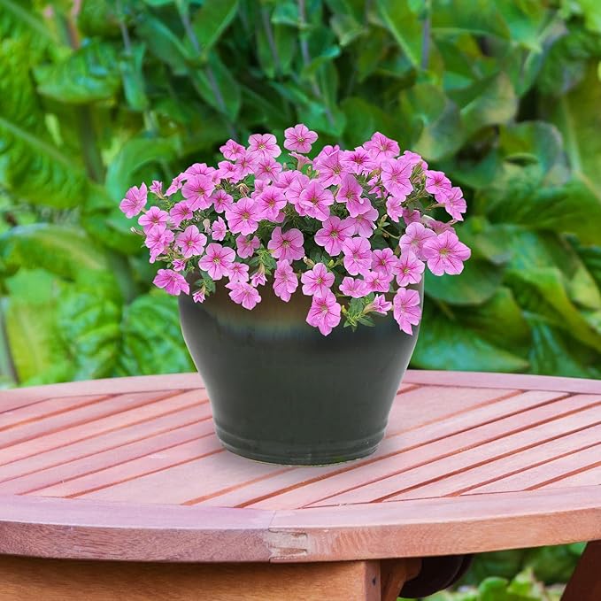 Sunnydaze Large Ceramic Plant Pot - Round Outdoor Glazed Ceramic Planter Pot with Drainage - Studio - Forest Lake Green - 14.5" SunnydazeDecor