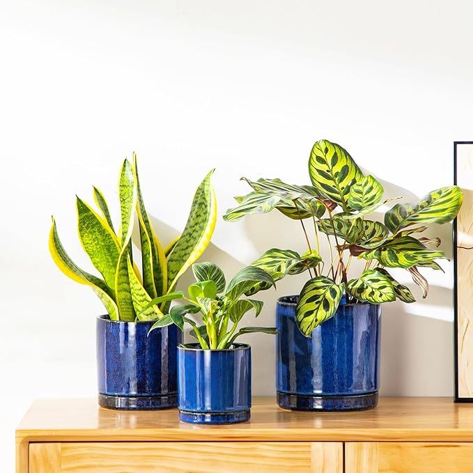 vancasso Ceramic Plant Pots, 3 Piece Planters for Indoor Plants, 4.25+5.25+6.25 Inch Flower Pots with Drainage, Plant Pots Indoor for Succulent, Pothos, Snake Plant and Money Tree, Etc (Blue) vancasso