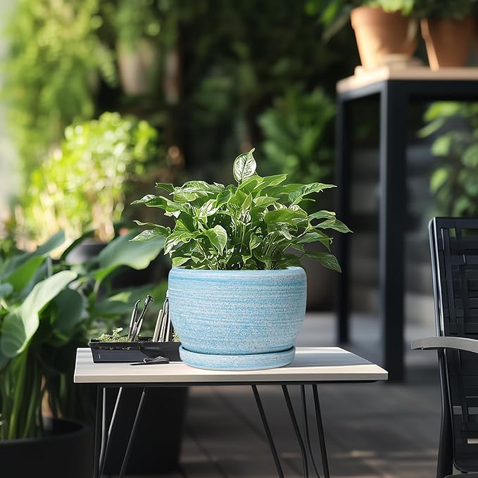 SQOWL Ceramic Planter - 8 inch Pot for Plants Indoor Outdoor, Modern Ceramic Flower Pot with Drainage Hole and Saucer, Decorative Round Planter, Home Office Decor, Plant Lovers Gifts, Blue SQOWL