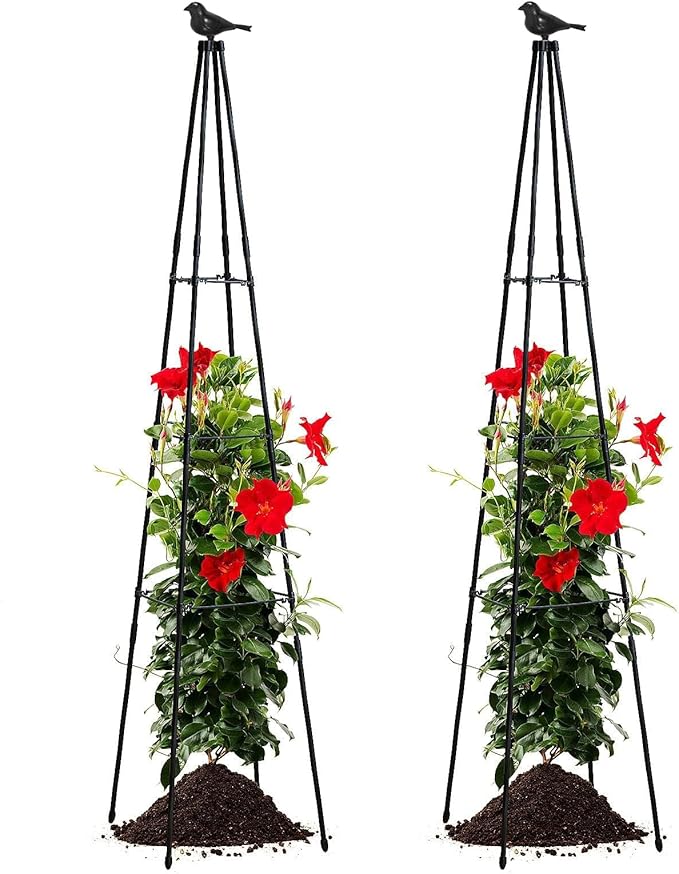 Cucumber Trellis, 67" Tall Obelisk Garden Trellis for Climbing Plants Outdoor Plastic-Coated Metal Support for Flower Vine Vegetable Tomato Cage Cucumebr Trellis Raised Bed, Black, 2 Pack follook