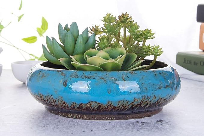 VanEnjoy 7.3 inch Round Large Shallow Succulent Ceramic Glazed Planter Pots with Drainage Hole, Bonsai Pots Garden Decorative Cactus Stand Flower Container (Blue) VanEnjoy