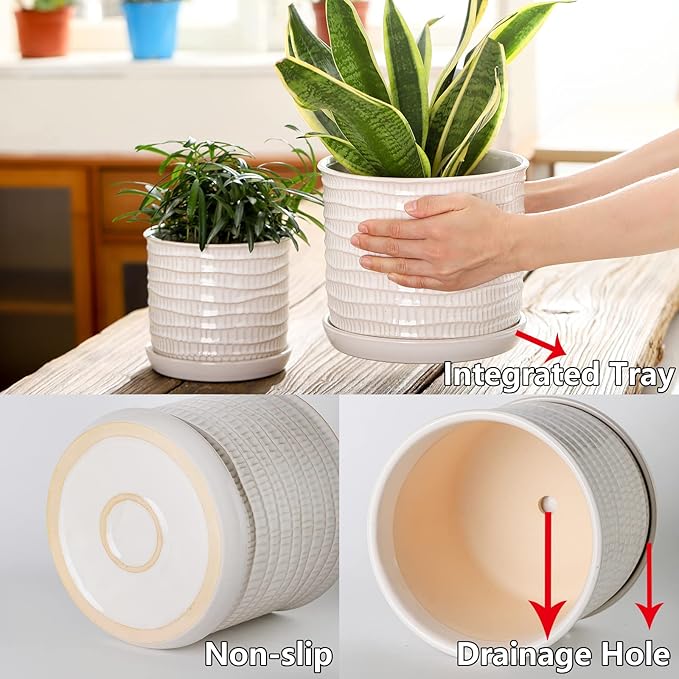 8 Inch Plant Pot: Ceramic Planter with Drainage Hole & Saucer for Indoor Outdoor Plants - Flowerpot with Bonded Tray for Home Office - Wave Embossed Chubacoo