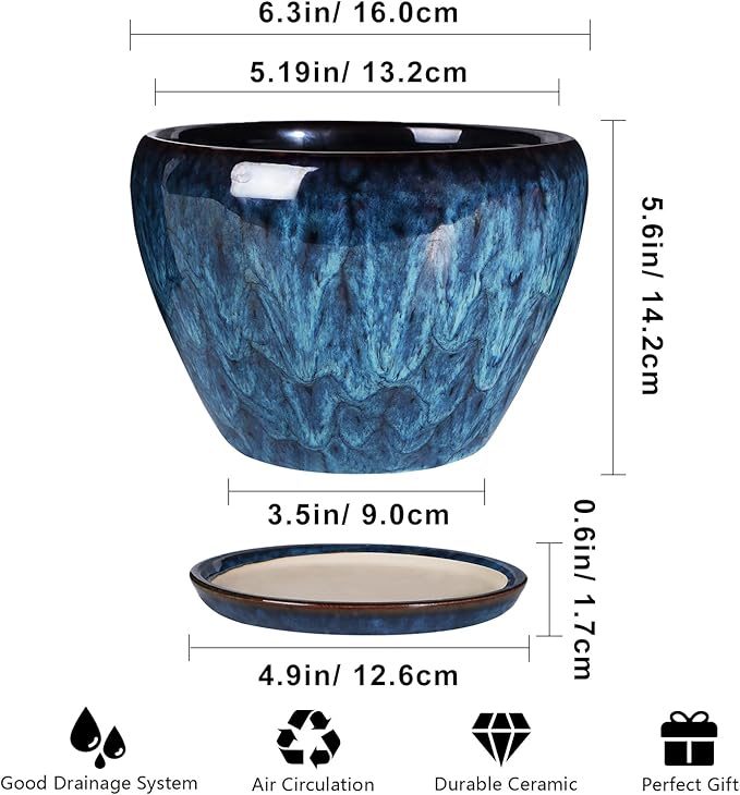 Ceramic Modern Glaze Succulent Planter Pot with Drainage Hole and Saucer 6 Inch Round Flower Plant Pot for Indoor Outdoor Herb Snake Plants Ceramicfor