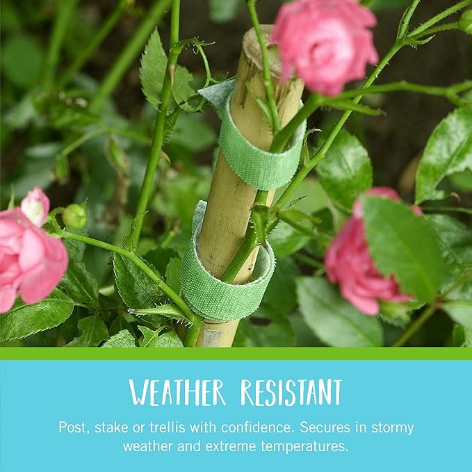 Velcro Brand VEL-30088-AMS Garden Pre-Cut 45pcs ONE-WRAP Plant Ties Suitable for Tomatoes Flowers or Vegetables in Raised Beds, 8 in X 1/2 in, Green-Recycled Plastic VELCROBrand