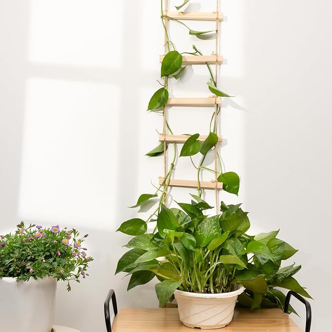 2PCS Chain Trellis for Climbing Plants - Natural Wood Indoor Plant Support, Durable 6.5 Inch by 4 Feet Design, Perfect for Pothos, Ivy, and Vines with Easy Installation Hook Yohsnor