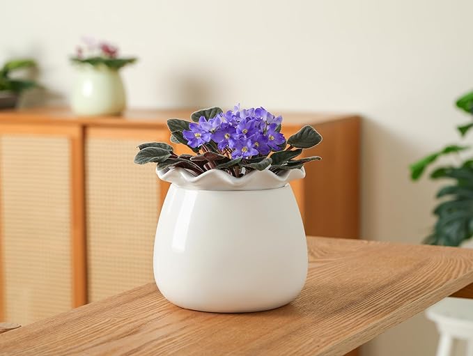 Self Watering Plant Pot, 6 Inch African Violet Pots Maintenance, Ceramic Self-Watering Planter for Indoor Plants - Ideal Flower Pot for Thriving Indoor Gardens, White FayoulasGarden