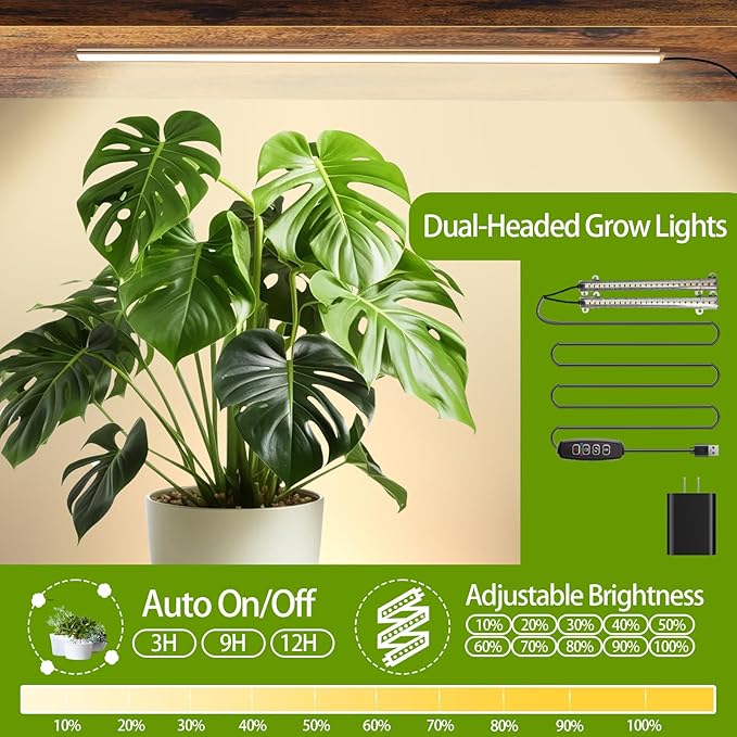 Plant Stand Indoor with Grow Lights, Hanging Plant Stand Plant Shelf Indoor, 65'' Tall Plant Stands Plant Holders for Indoor Plants, Living Room, Bedroom, Balcony Rootora