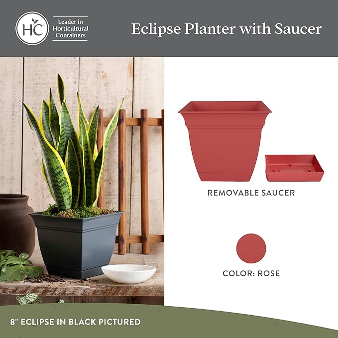 The HC Companies 12 Inch Eclipse Square Planter Pots with Drainage Holes & Attached Saucer, Lightweight UV-Resistant Plastic Indoor Outdoor Planters, 2-Pack Flower Pots for Garden & Home Decor, Rose TheHCCompanies