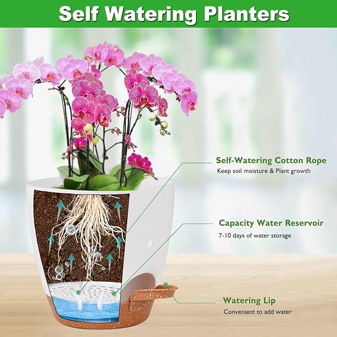 6 Inch Orchid Pots with Holes, 3 Pack Self Watering Planters for Orchids Plastic Orchid Pot Plant Flower Pots for Orchids Indoor Outdoor (Multicolor) Vanslogreen