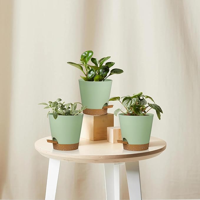 5 Pack 5 inch Self-Watering Pots, African Violets Planter with Drainage Holes and Reservoir, Green Brown Plastic Planter for Indoor Outdoor Plants Flowers and Houseplants Green Brown, 5 inch 5 pcs zople
