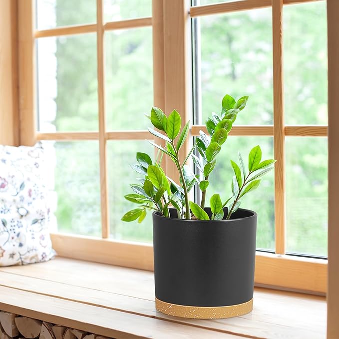 8 Inch Cylinder Plant Pots for Indoor Outdoor Plants, Medium Deep Flower Pots with Drainage Holes & Saucer, Decorative Plastic Planter Pots for Garden House Plants, Black with Brown WSMKSZ