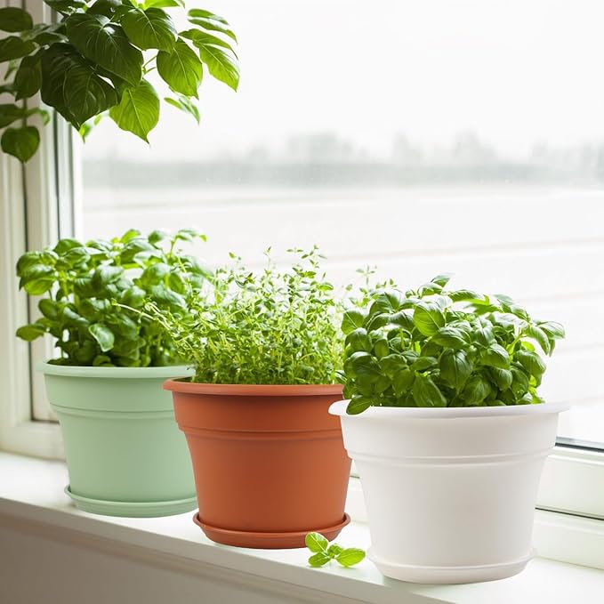 6 Inch Plastic-Flower Pot-for-Indoor Plants, 6 Pack Outdoor Plant Pots with Drainage Holes & Saucers, Resin Garden Pots Planters Pottiffe