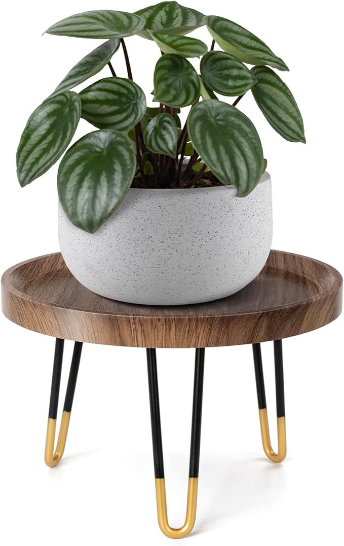 Plant Stand Indoor Outdoor, Mid Century Style Walnut Wood Color Plant Stand,Waterproof Design Modern Plant Table,Easily Assemble Come With Tools,Nice For Room Decor (L) Welcometoobtain